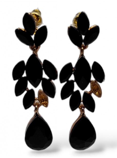 Fashion Earrings